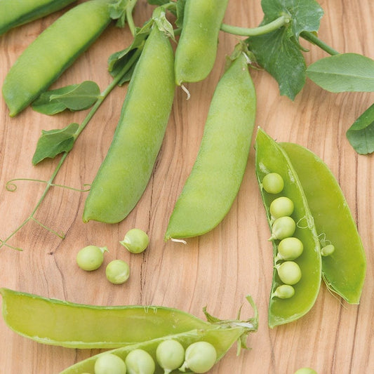 Mr Fothergill's Vegetable Seed Pea (Snap) Sugar Sprint - 150 Seeds