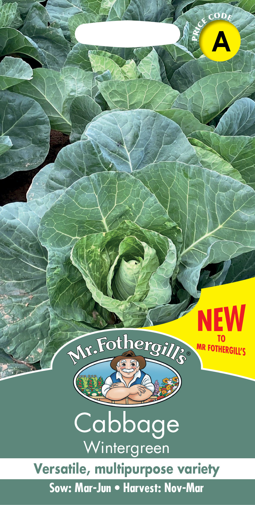 Mr Fothergill's Vegetable Seeds Cabbage Wintergreen - 50 Seeds