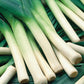 Mr Fothergill's Vegetable Seeds Leek Norwich F1 - 50 Seeds