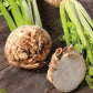 Mr Fothergill's Vegetable Seeds Celeriac Neon F1 - 250 Seeds