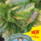 Mr Fothergill's Salad Seeds Lettuce Iceberg Red - 1000 Seeds