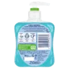 Cussons Carex Original Antibacterial Handwash 250ml