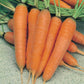 Mr Fothergill's Vegetable Seeds Carrot St Valery - 750 Seeds