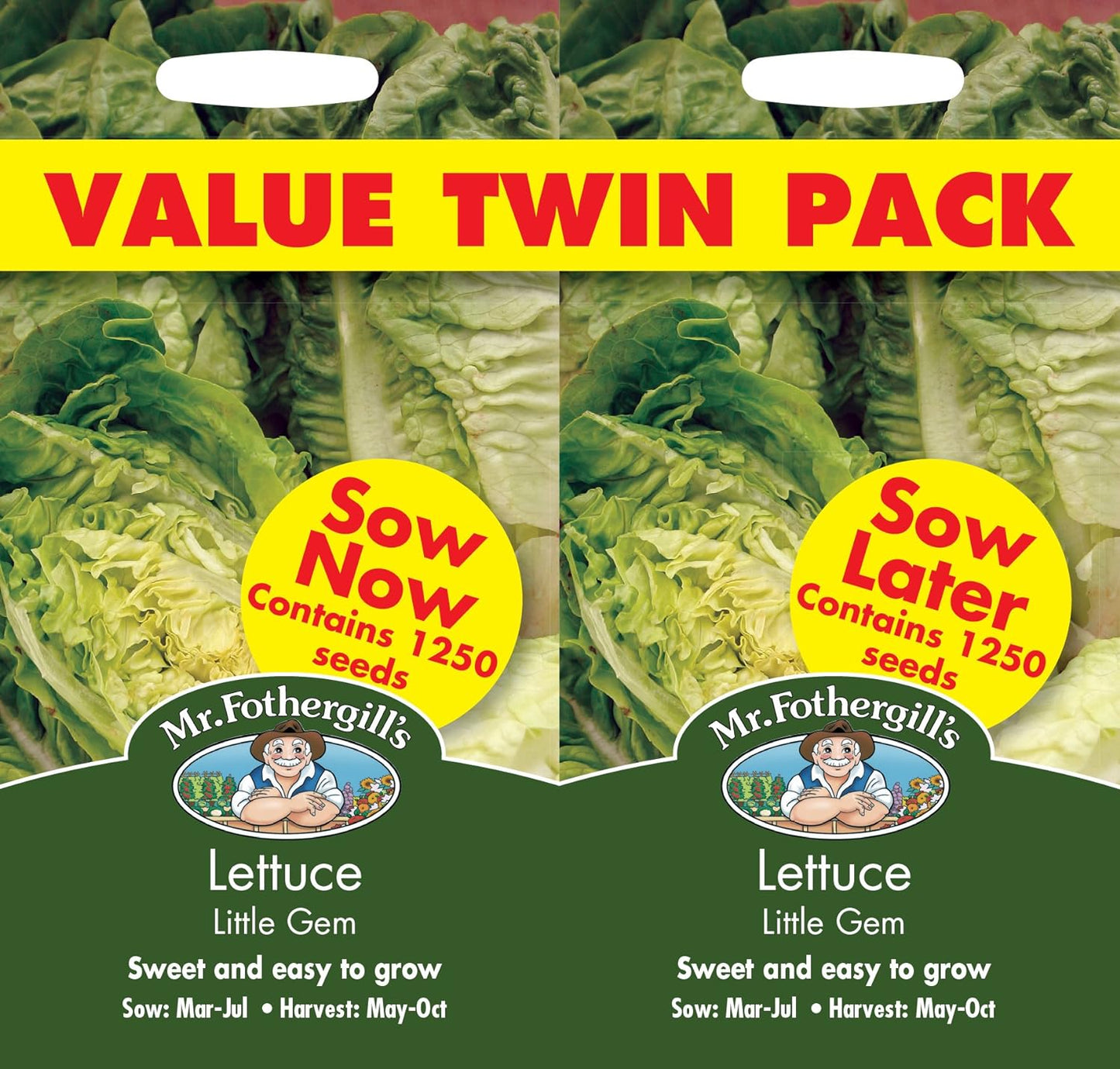 Mr Fothergill's Salad Seeds Lettuce Little Gem Bumper Pack - 2,500 Seeds