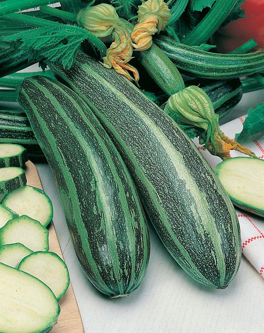 Mr Fothergill's Vegetable Seeds Marrow Long Green Bush 2 - 20 Seeds