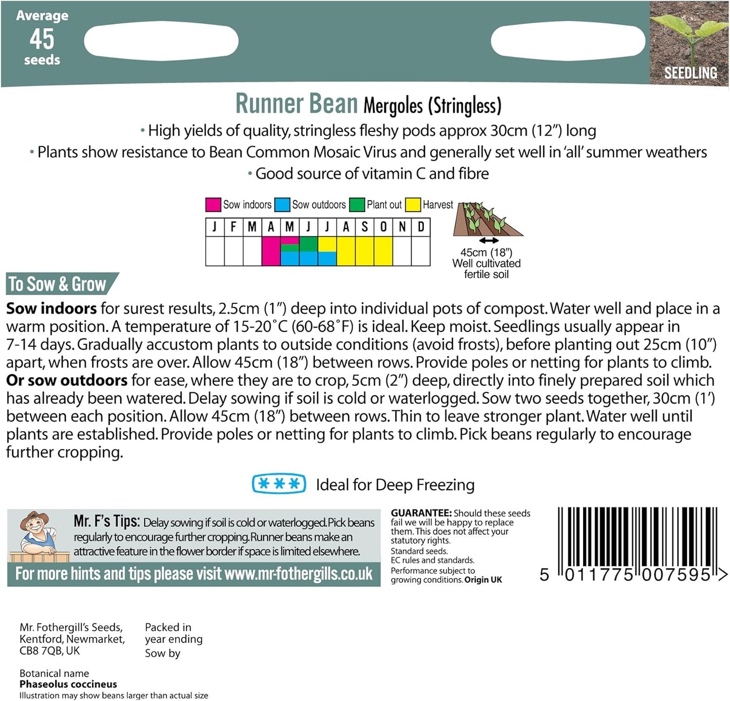 Mr Fothergill's RUNNER BEAN Mergoles