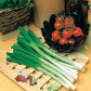 Mr Fothergill's Salad Seeds Onion (Spring) Katana F1 - 250 Seeds