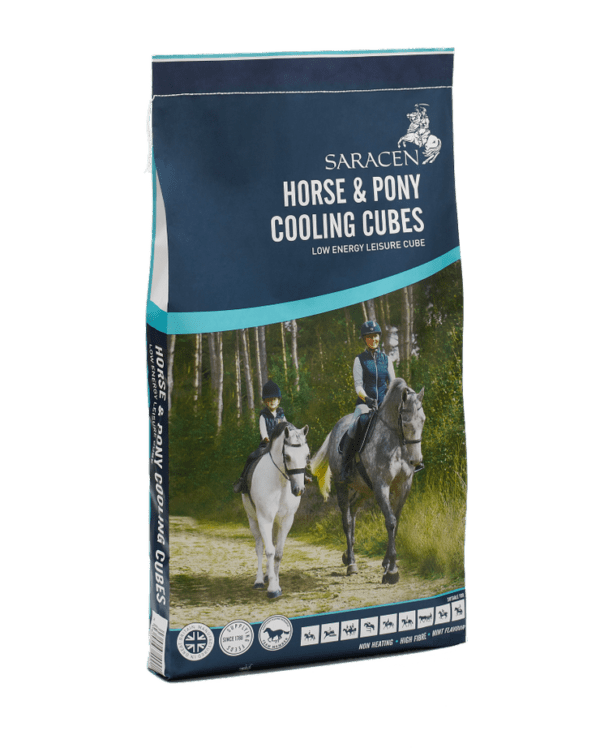 Saracen Horse & Pony Cooling Cubes 20Kg