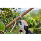 STIHL ASA 20 Lopping Shears