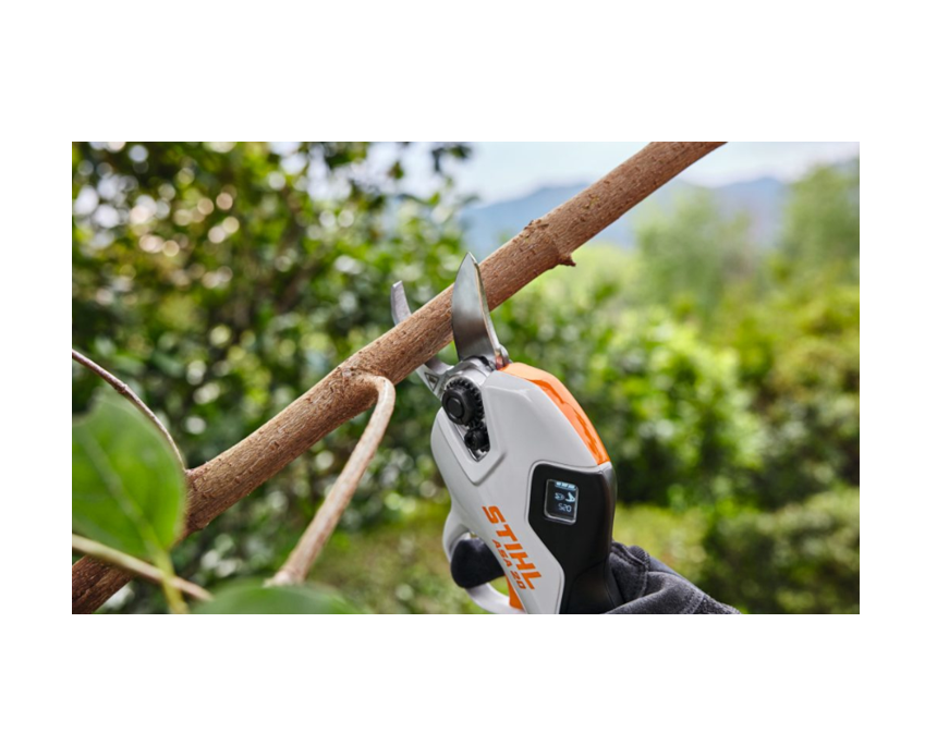 STIHL ASA 20 Lopping Shears