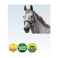 Dengie Alfa A Molasses Free