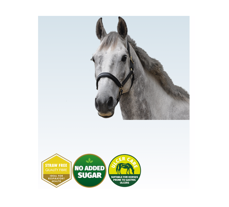 Dengie Alfa A Molasses Free