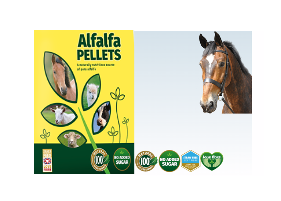 Dengie Alfalfa Pellets