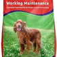 Alpha Worker Maintenance 15kg