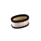 Briggs & Stratton 393725 Filter A/C Cartridge