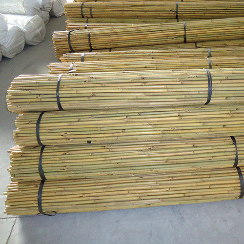 Natural Bamboo Canes