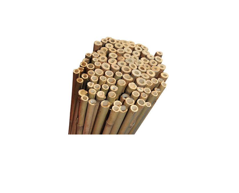 Natural Bamboo Canes