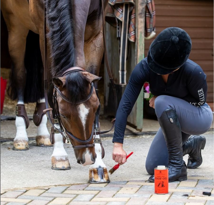 Carr Day Martin Vanner & Prest Hoof Oil