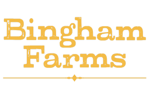 Bingham Farms Rawhide Chew Knots 20cm (10-Pack) 850g