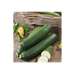 Mr Fothergill's COURGETTE Blackstar F1