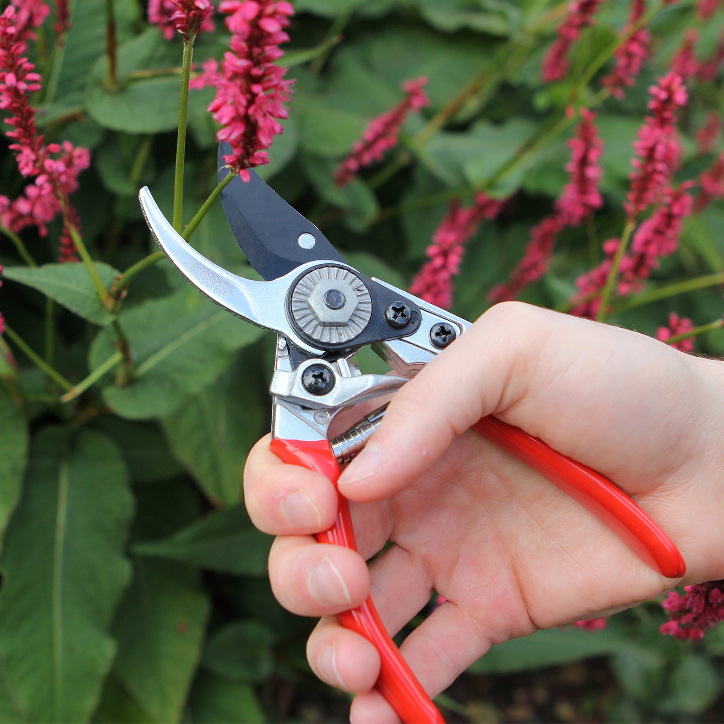 Darlac DP930 Small Bypass Pruner