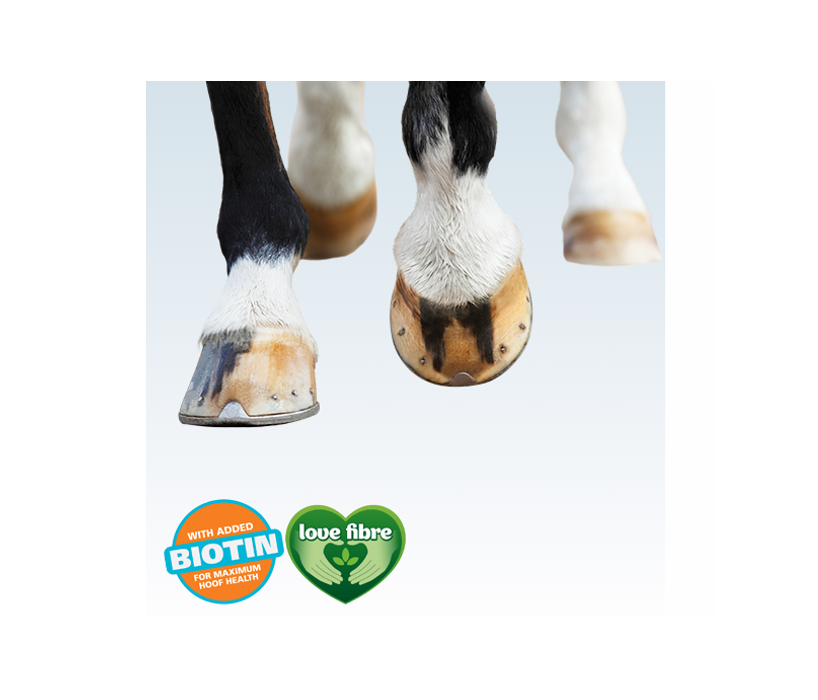 Dengie Healthy Hooves