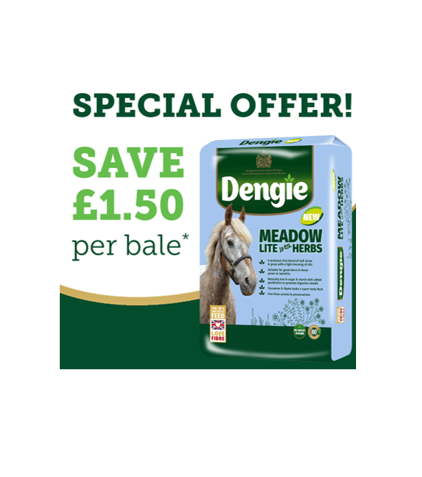 Dengie Meadow Lite with Herbs 15Kg *£1.50 OFF*