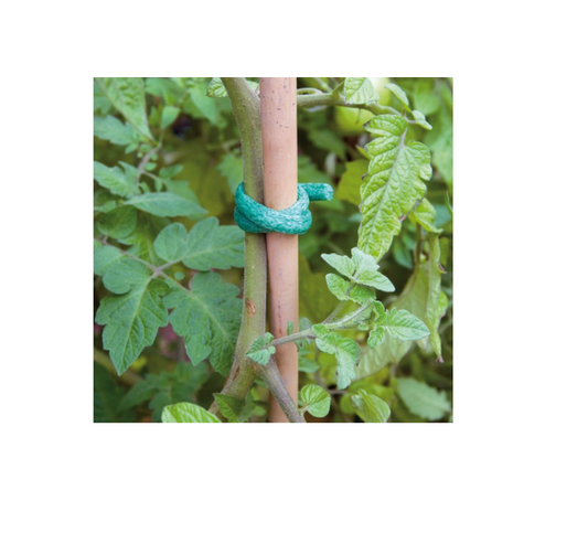 Foam Ties (pack 20)