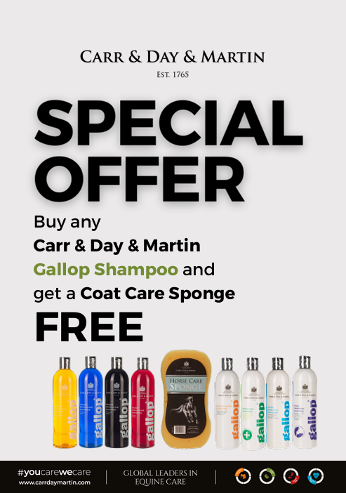 Carr & Day & Martin Gallop Colour Shampoo Bay *FREE SPONGE INC.*