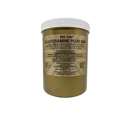 Gold Label Glucosamine Plus 5000 (900g)