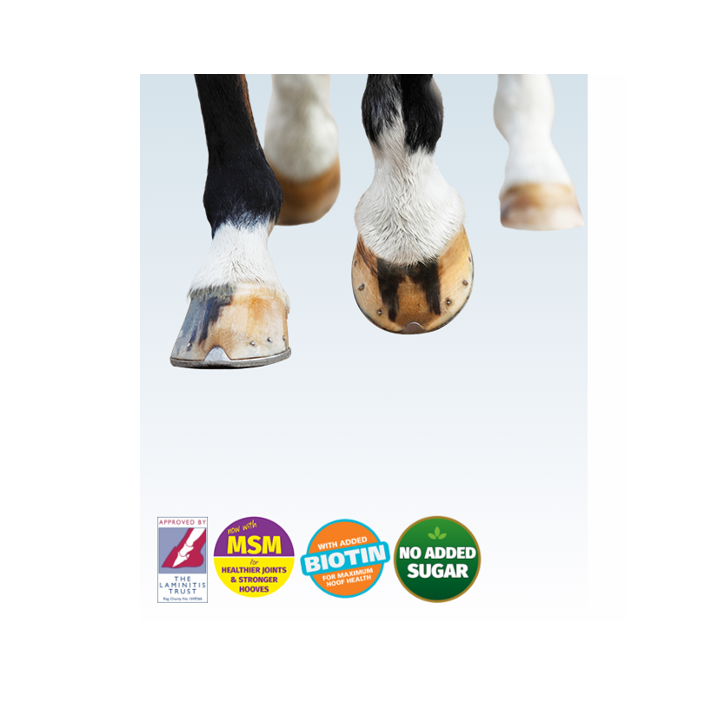 Dengie Healthy Hooves Molasses Free