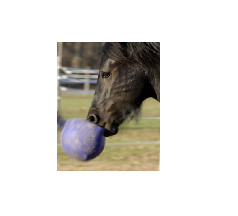 Horsemans Pride Jolly Ball (Red 10")