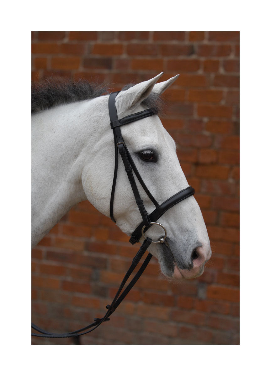 Hy Padded Cavesson Bridle