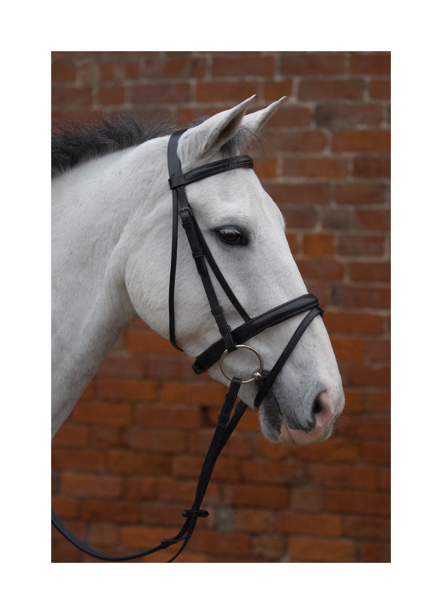 Hy Padded Flash Bridle - Black