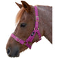 Hy Equestrian Holly Fully Adjustable Head Collar - Various Colours