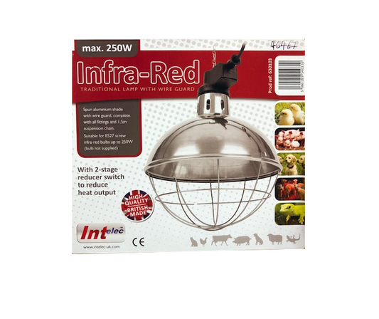 Infra-Red Traditional Lamp with Wire Guard