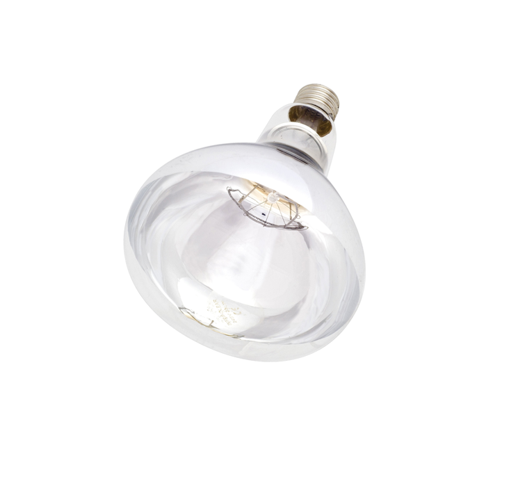 Intelec Hard Glass Infra-Red Bulb 250W