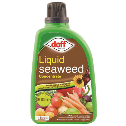 Doff Seaweed Concentrate 1L