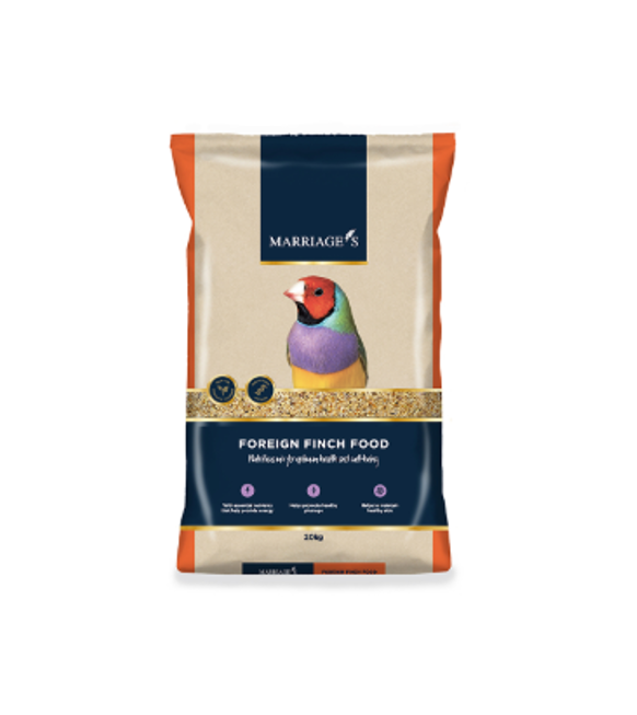 Marriages Foreign Finch Food