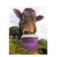 Dallas Keith MolaMin Mineral Block Dry Cow 20Kg