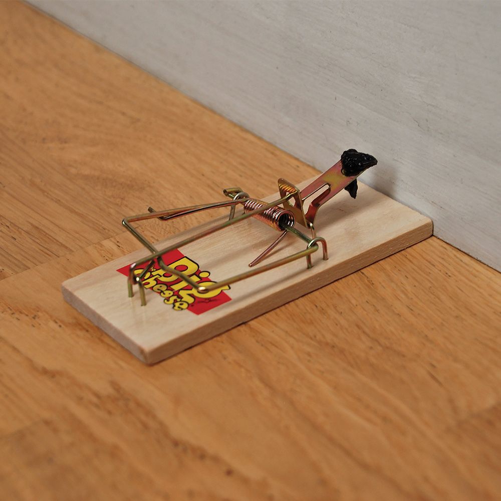 Big Cheese Wooden Mouse Trap (4)