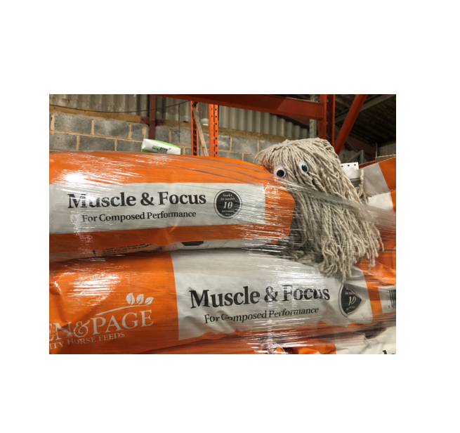 Allen & Page Muscle & Focus Horse Feed 20kg