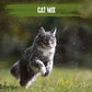 Alpha Alpha Cat Mix Meat 10kg