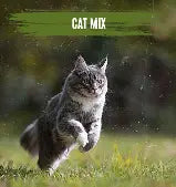 Alpha Alpha Cat Mix Meat 10kg