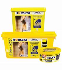 Horslyx Balancer Garlic