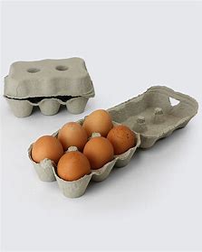 Eton Egg Box - Holds 6 Eggs