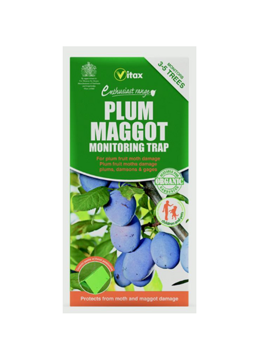 Vitax Plum Maggot Trap