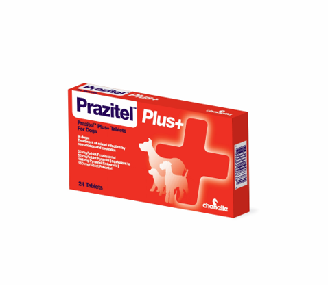 Chanelle Prazitel Plus Dog Wormer POM-VPS