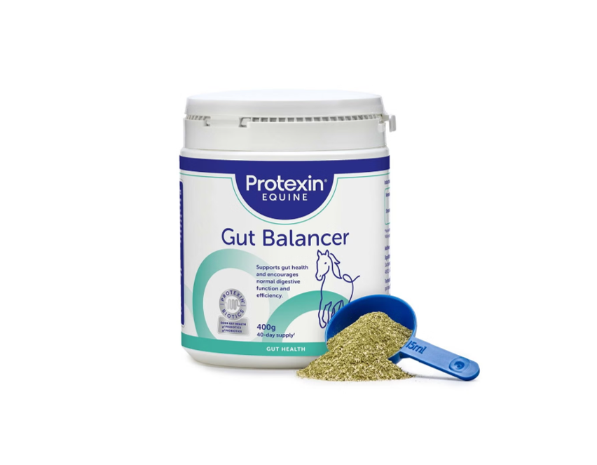 Protexin Equine Premium Gut Balancer