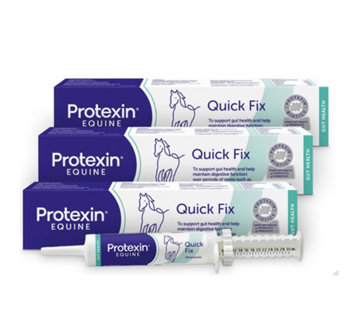 Protexin Equine Quick Fix 30ml